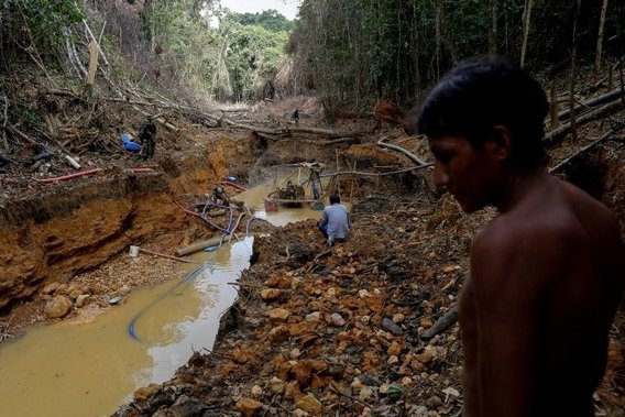 The impacts of illegal mining on indigenous lands