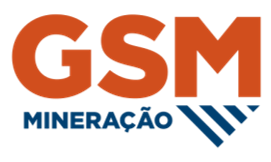 Logo GSM