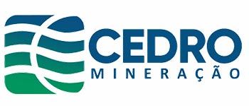 Logo Cedro