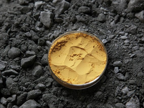 Pó amarelo em uma placa de Petri