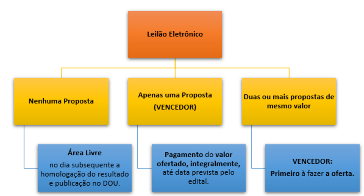 Disponibilidade de leilões exibidos graficamente