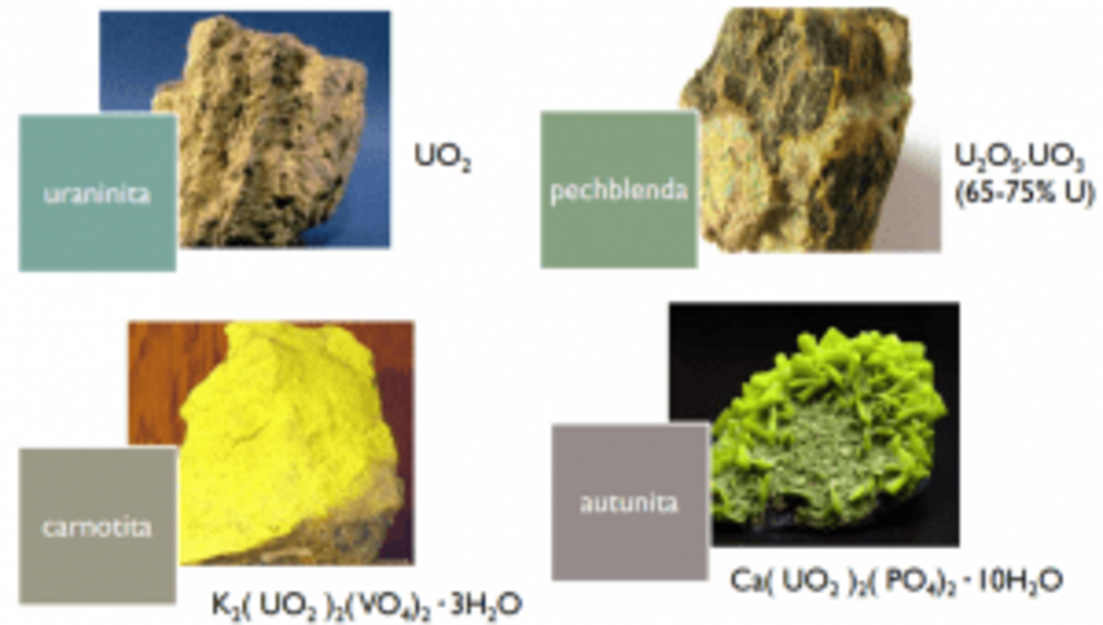 Ilustração com quatro minerais de urânio - uraninita, pechblenda, carnotita, autunita
