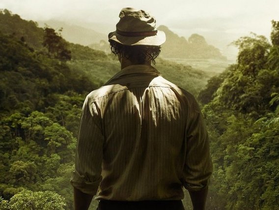 um homem visto por trás em frente a uma floresta tropical