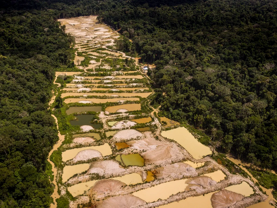 Garimpo de ouro na região do Alto Tapajós, na Amazônia paraense Garimpo de ouro na região do Alto Tapajós, na Amazônia paraense. Foto de Gustavo Basso