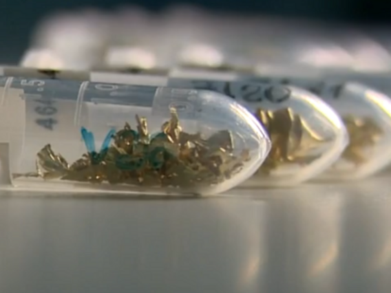 Ouro separado para análise laboratorial Peças de ouro em pequenos recipientes plásticos